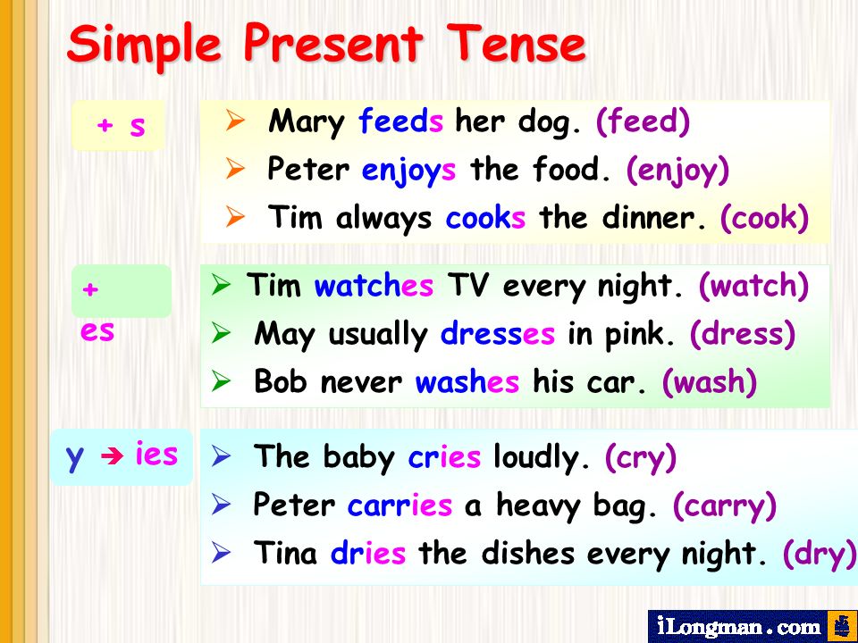 Simple Present Tense Examples Punjabi To English